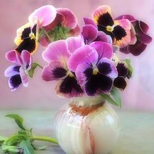 Схема вышивки «zweti»