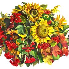 Схема вышивки «Серия "Букет"»