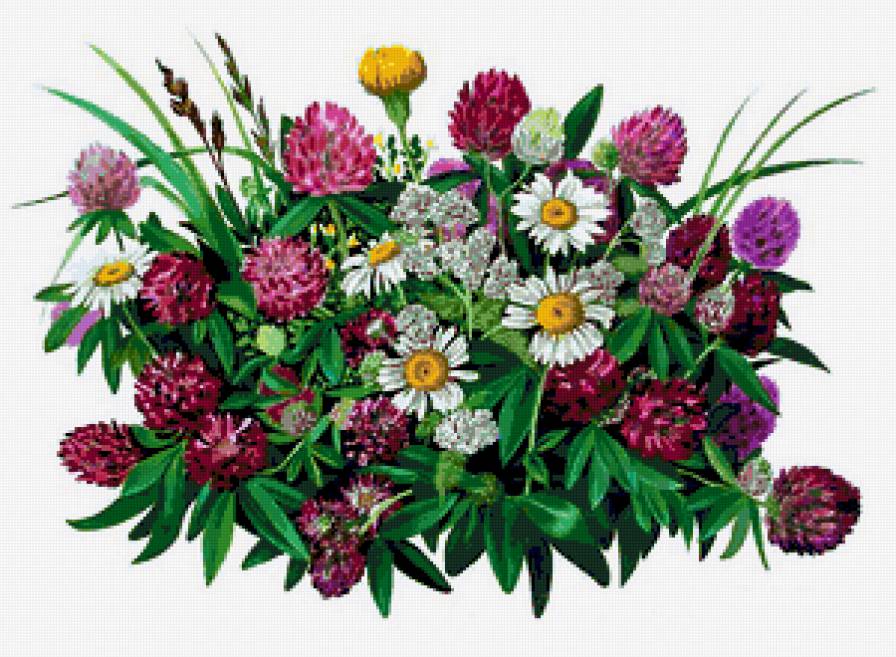 Серия "Букет" - цветы, букет, ромашки, клевер - предпросмотр