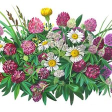 Схема вышивки «Серия "Букет"»