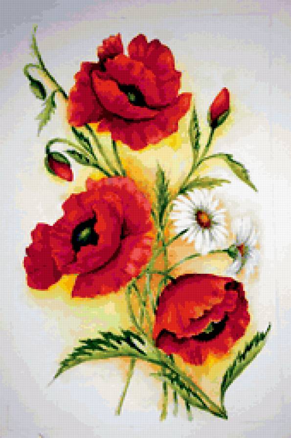 цветы - маки, ромашки - предпросмотр
