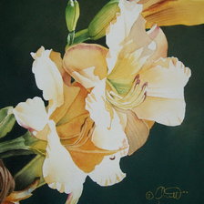 Схема вышивки «Серия "Букет"»