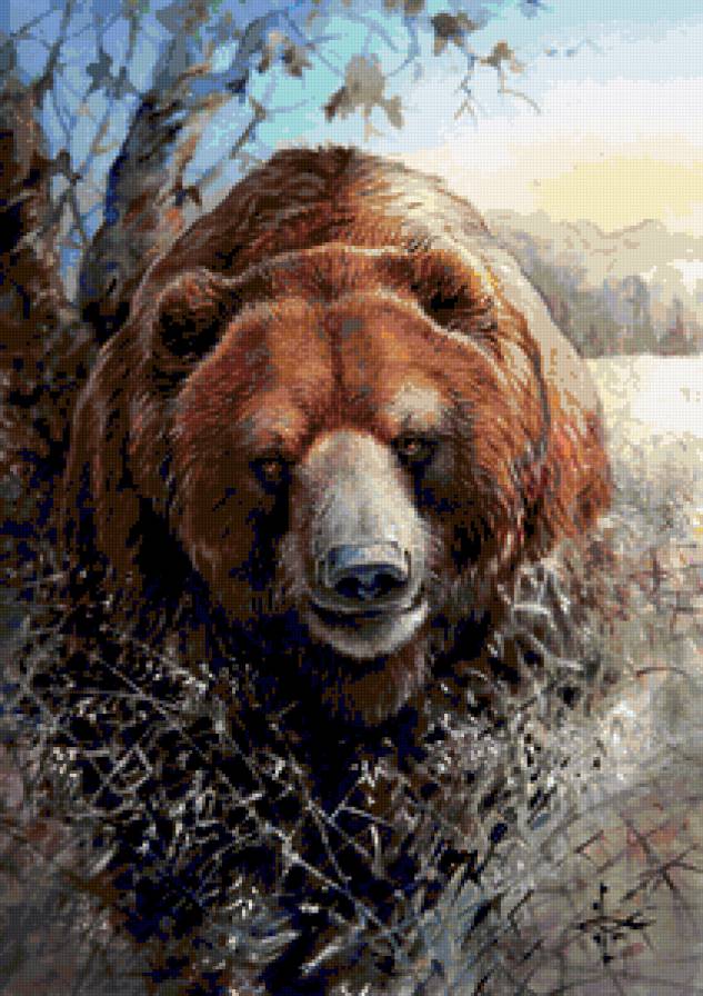 Бурый - снег, пейзаж, животные, медведи, зима - предпросмотр