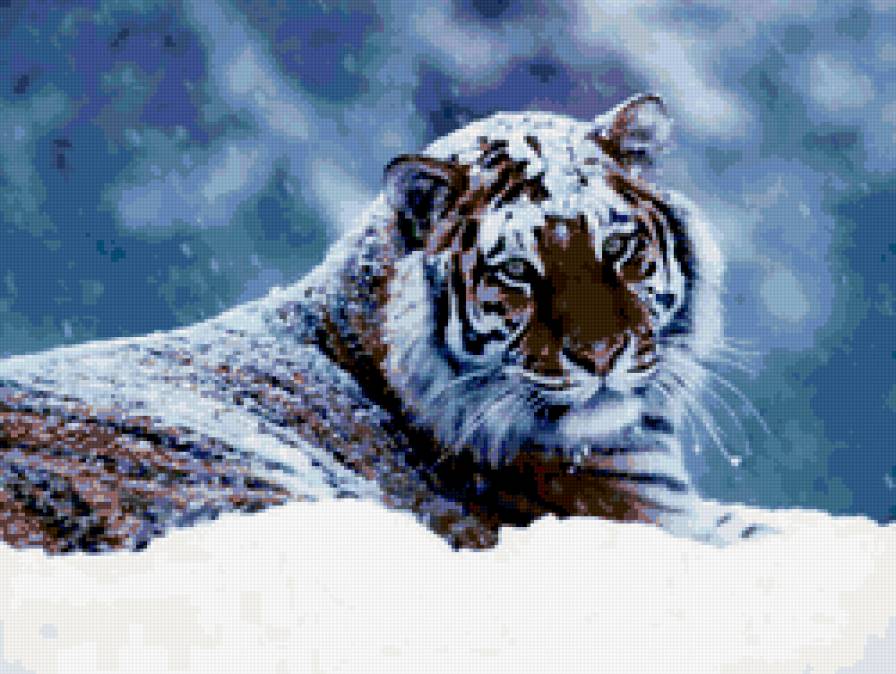 ууу - предпросмотр