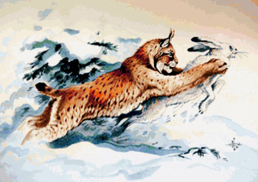 Охота - зайцы, кошки, пейзаж, животные, зима, рыси - предпросмотр