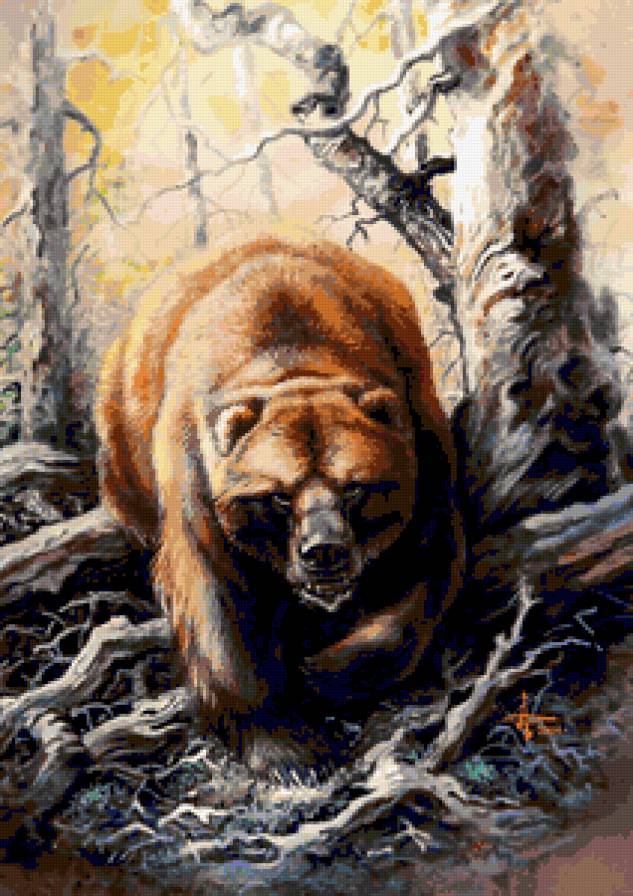 Мишка - пейзаж, животные, медведи - предпросмотр