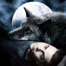 Схема вышивки «мужчина и волк»