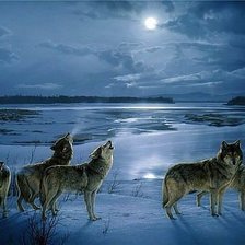 Схема вышивки «№269074»