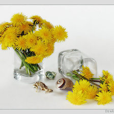 Схема вышивки «№269082»