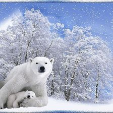 Схема вышивки «№269084»