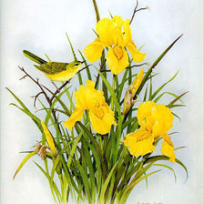 Схема вышивки «№269086»