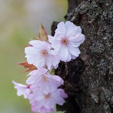 Вот и весна.