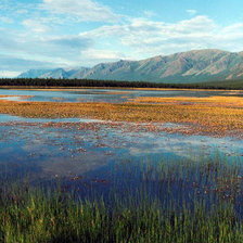Схема вышивки «пейзаж»