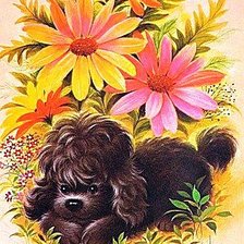 Схема вышивки «Кудрявая собачка»