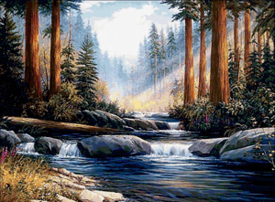 Утро в лесу - пейзаж, лес, река, утро - предпросмотр