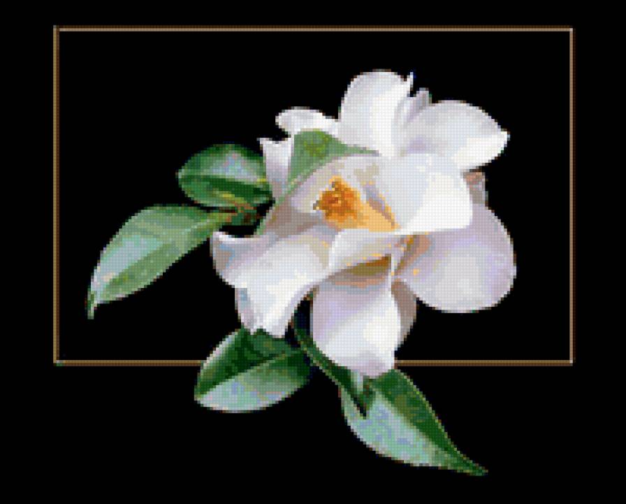 002 - цветы - предпросмотр