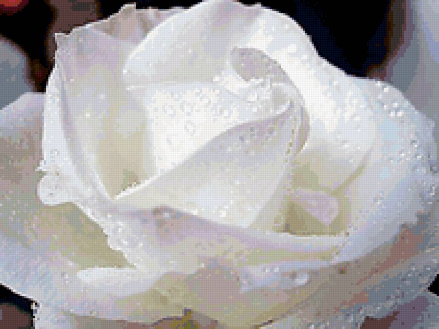 003 - цветы - предпросмотр