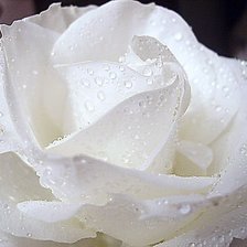 Схема вышивки «003»