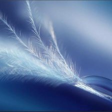 Схема вышивки «013»