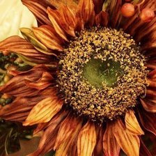 Схема вышивки «№269609»