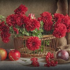 Схема вышивки «георгины»