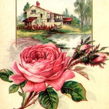 Схема вышивки «№269874»