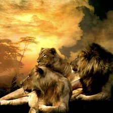 Схема вышивки «львиный прайд»