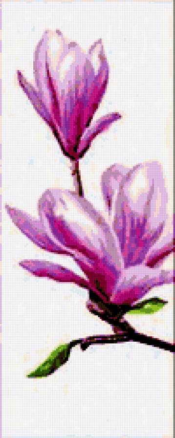 Магнолия в ДМС - предпросмотр