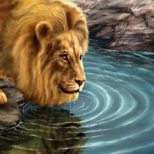 Схема вышивки «Царь зверей»