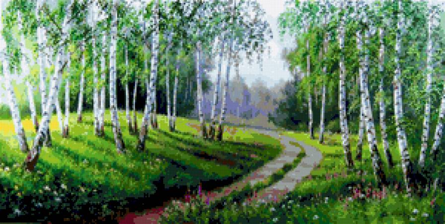 Дорога в березовой роще - пейзаж, дорога, лето - предпросмотр