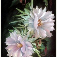 Схема вышивки «цветы»