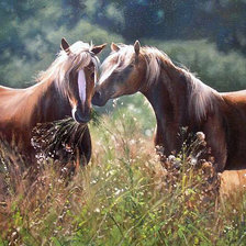 Схема вышивки «Серия "Кони"»