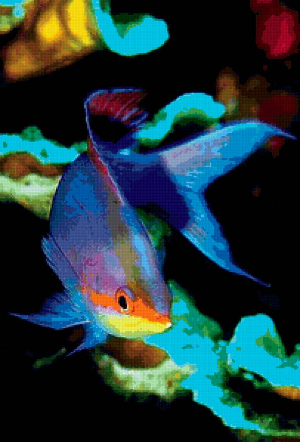 Рыбка - море, рыбки - предпросмотр