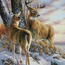 Схема вышивки «оленюшки»