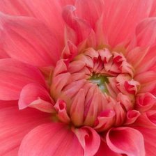 Схема вышивки «№270703»