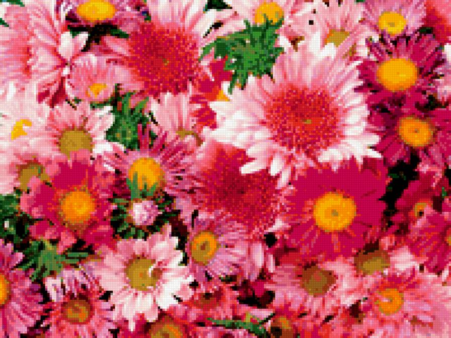 №270705 - цветы, подушка - предпросмотр