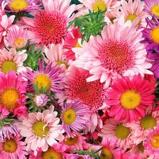 Схема вышивки «№270705»