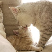 Схема вышивки «№270714»