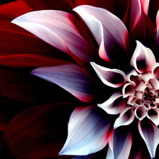 Схема вышивки «№270716»