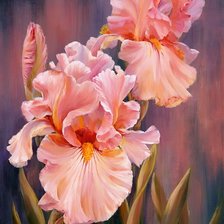 Схема вышивки «Ирисы»