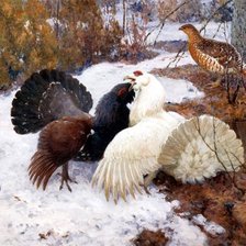 Схема вышивки «глухариный ток»