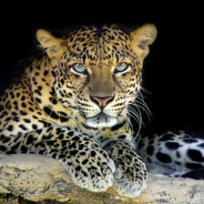 Схема вышивки «№270971»