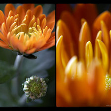 Схема вышивки «№271064»