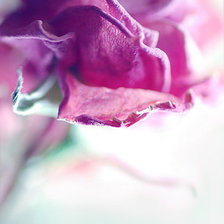 Схема вышивки «№271066»