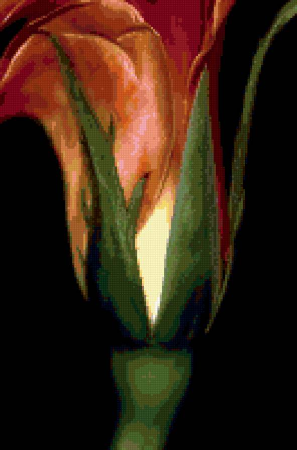 №271074 - цветы - предпросмотр