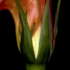 Схема вышивки «№271074»