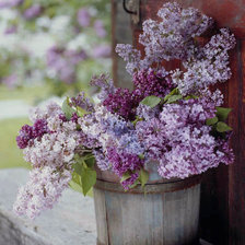 Схема вышивки «№271078»