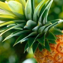 Схема вышивки «Ананас»