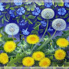 Одуванчики