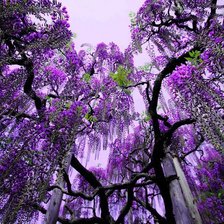 Схема вышивки «дерево»